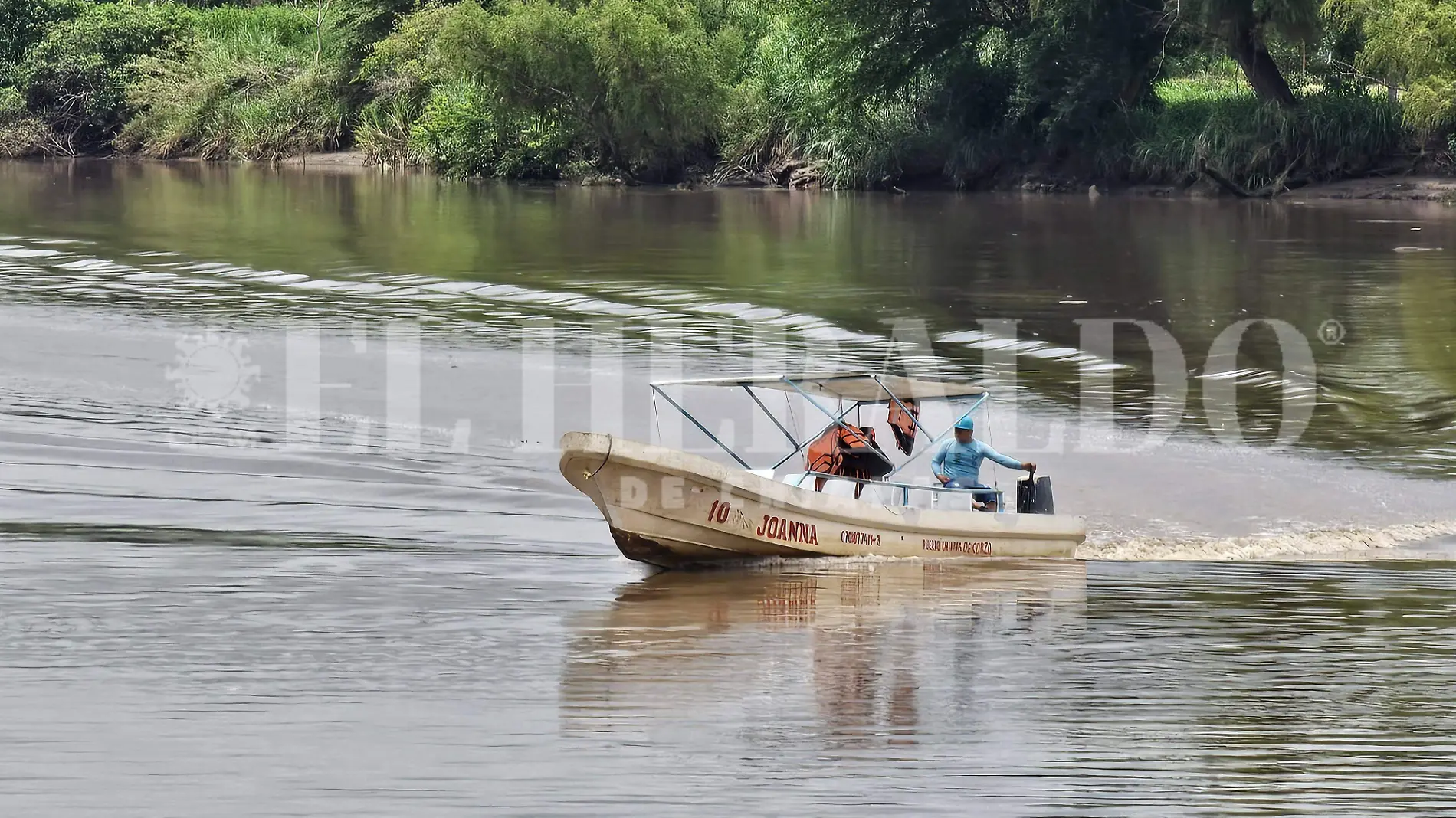 Chiapa de corzo lanchero